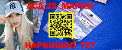 крисы Моздок