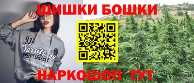 крисы Моздок