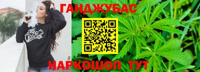 крисы Моздок