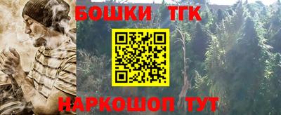 крисы Моздок