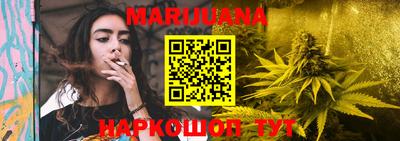 крисы Моздок