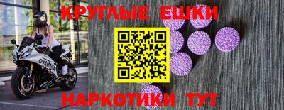 крисы Моздок