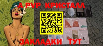крисы Моздок