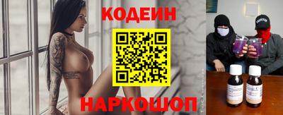 крисы Моздок