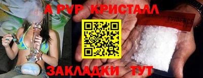 крисы Моздок