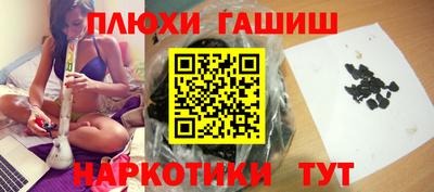 крисы Моздок