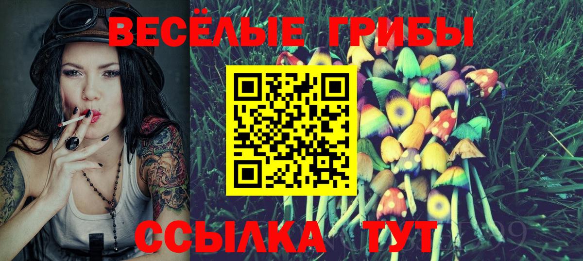где продают   Галлюциногенные грибы мицелий  Вход с VPN  Бердск 