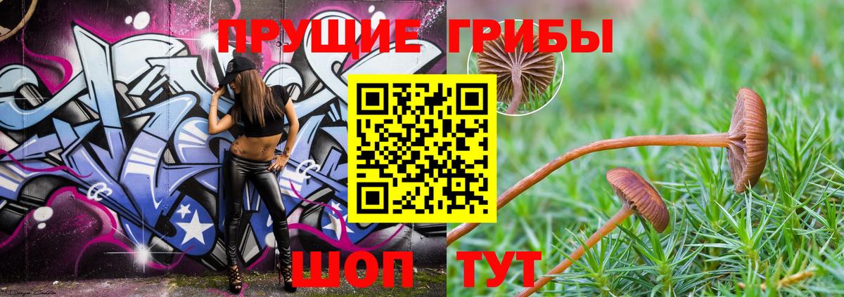 Псилоцибиновые грибы GOLDEN TEACHER Бердск